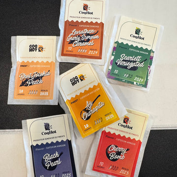 🌱 De la graine de piment à la sauce piquante